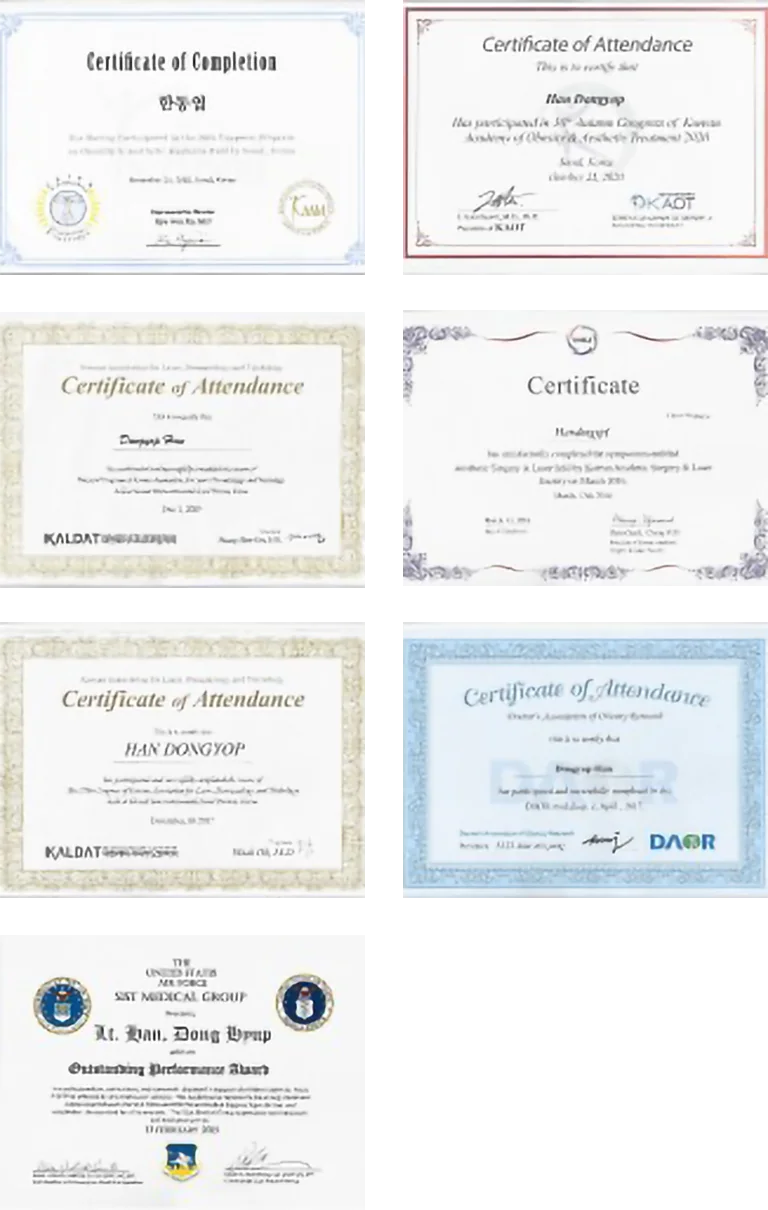 Dr. Jee Woo Han, MD Academic Activities and Educational Background