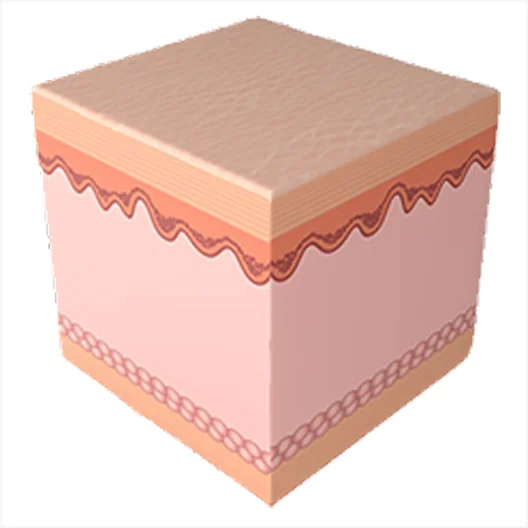 Mirage Jet Procedure 5