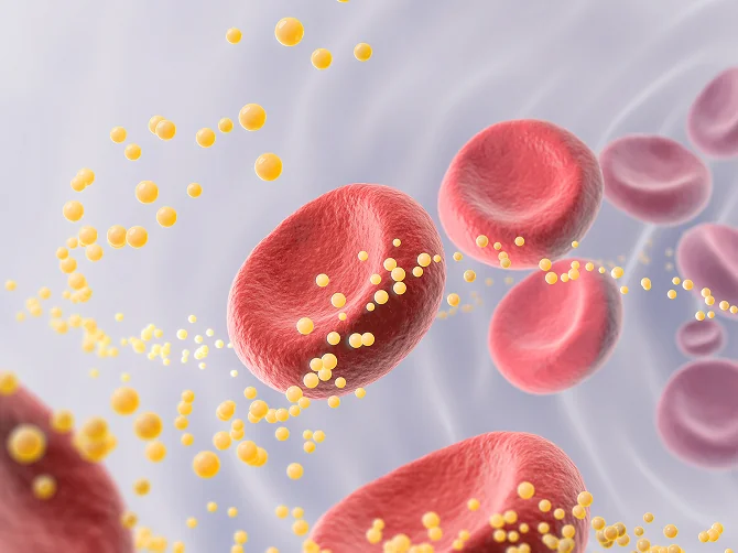 Waste Discharge Effects